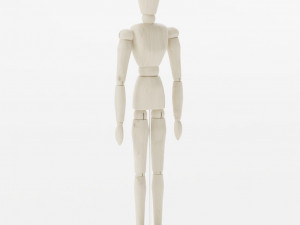 MOKIN 3D Model