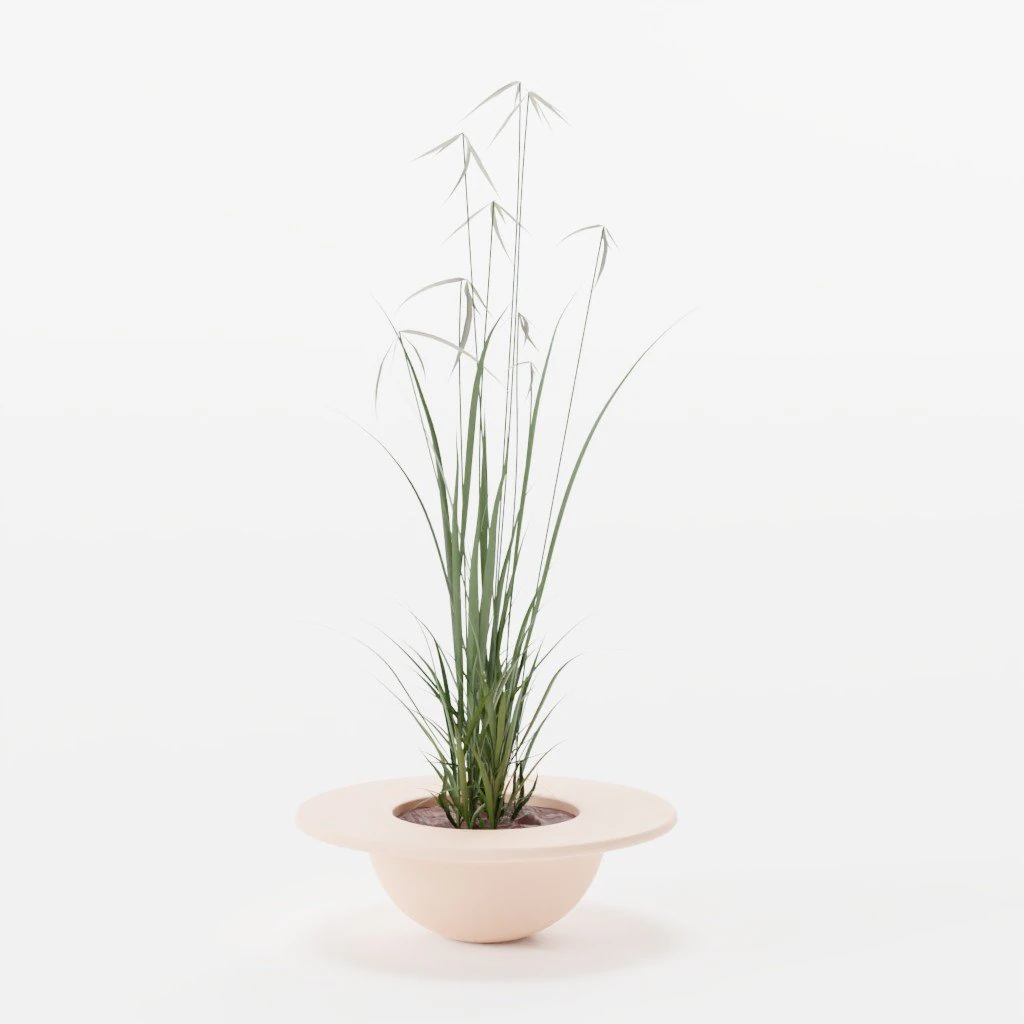 PETAL attendant 3D Model .c4d .max .obj .3ds .fbx .stl .blend 