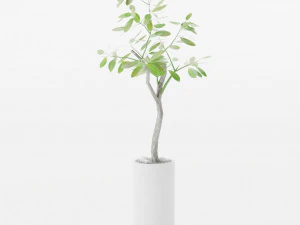 Grote Bengaalse rubberboom 3D Model