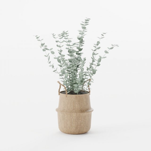 Plant 3D 模型 .c4d .max .obj .3ds .fbx .stl .blend 