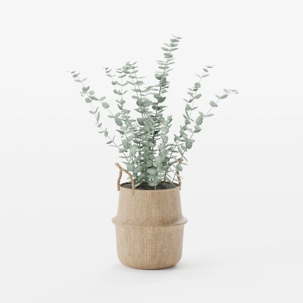 Plant 3D Model .c4d .max .obj .3ds .fbx .stl .blend