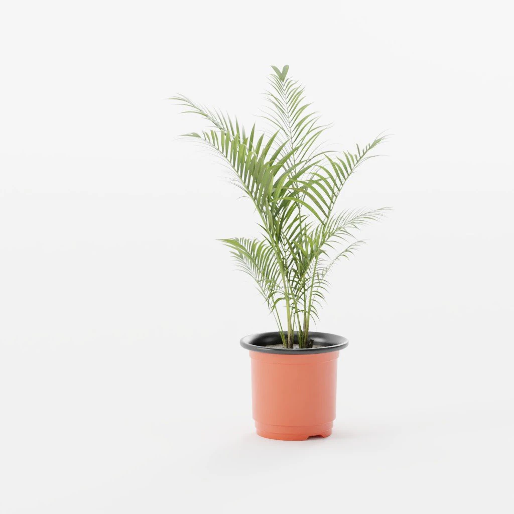 Purifying Plant 3D Model .c4d .max .obj .3ds .fbx .stl .blend