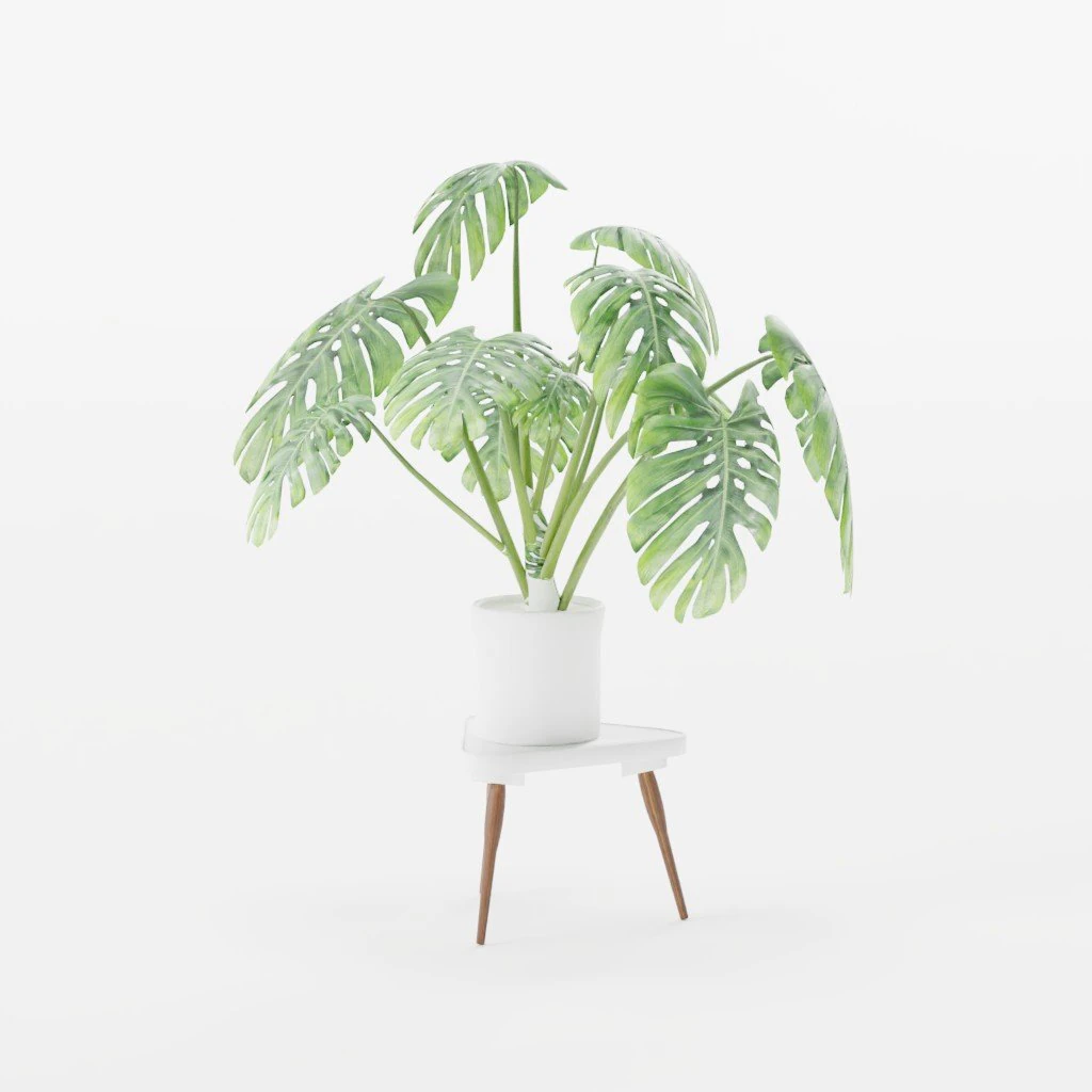 Indoor Air Plant 3D Model .c4d .max .obj .3ds .fbx .stl .blend 