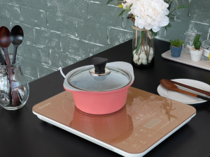 Induction electric stove Modèle 3D