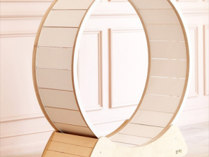 Cat Cat Wheel Model 3D