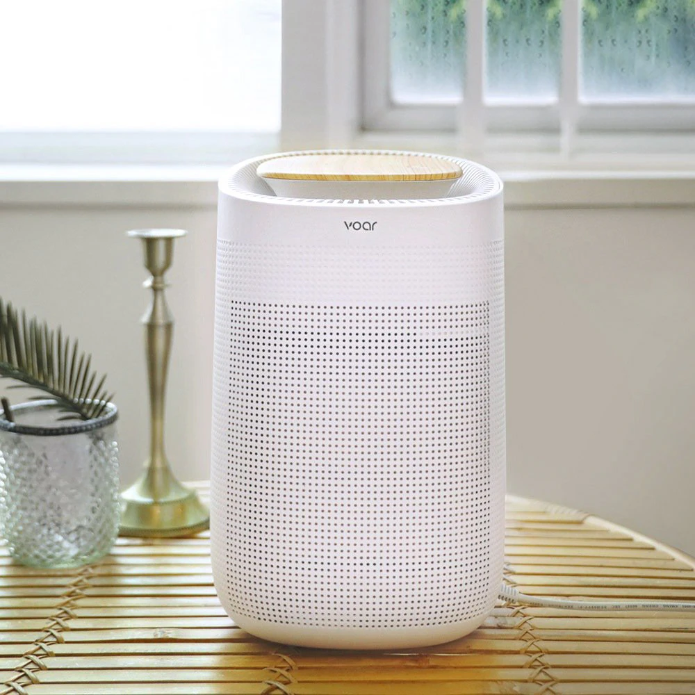 Dehumidifier H13 HEPA filter air purifier 3D Model .c4d .max .obj .3ds .fbx .stl .blend