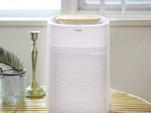 Dehumidifier H13 HEPA filter air purifier Modelo 3D