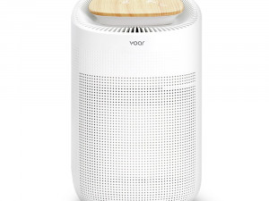 Dehumidifier H13 HEPA filter air purifier Modelo 3D
