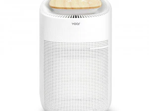 Dehumidifier H13 HEPA filter air purifier 3D Model