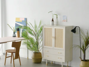 Bund Woody White Rattan High Cabinet 3D Model