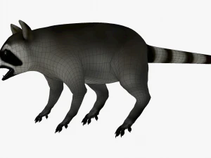 Wild Raccoon 3DS Max 3D Model
