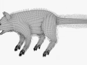 Wild Raccoon 3DS Max 3D Model