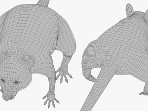 Wild Raccoon 3DS Max 3D Model