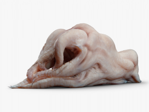 Alien Parasite 3DS Max 3D 모델