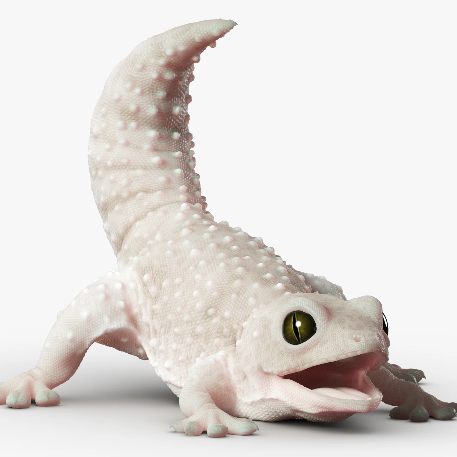 Gecko Reptile 3DS Max 3D Model .c4d .max .obj .3ds .fbx .stl .blend 