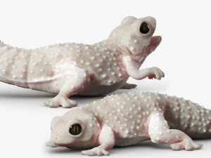 Gecko Reptile 3DS Max 3D Model