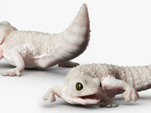 Gecko Reptile 3DS Max 3D Model