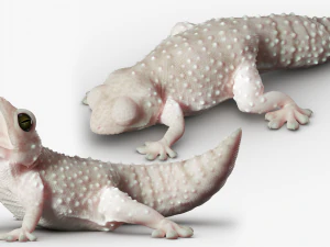 Gecko Reptile 3DS Max 3D Model
