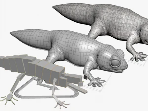 Gecko Reptile 3DS Max 3D Model