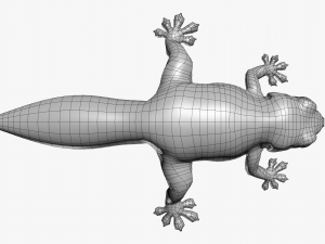 Gecko Reptile 3DS Max 3D-Modell