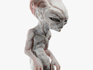 Gray Alien 3D Model