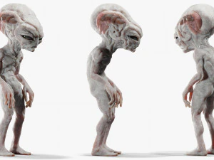 Gray Alien Blender 3D Model