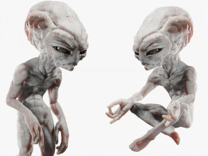 Gray Alien Blender 3D Model