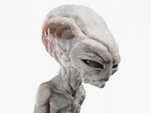 Gray Alien Blender Modelo 3D