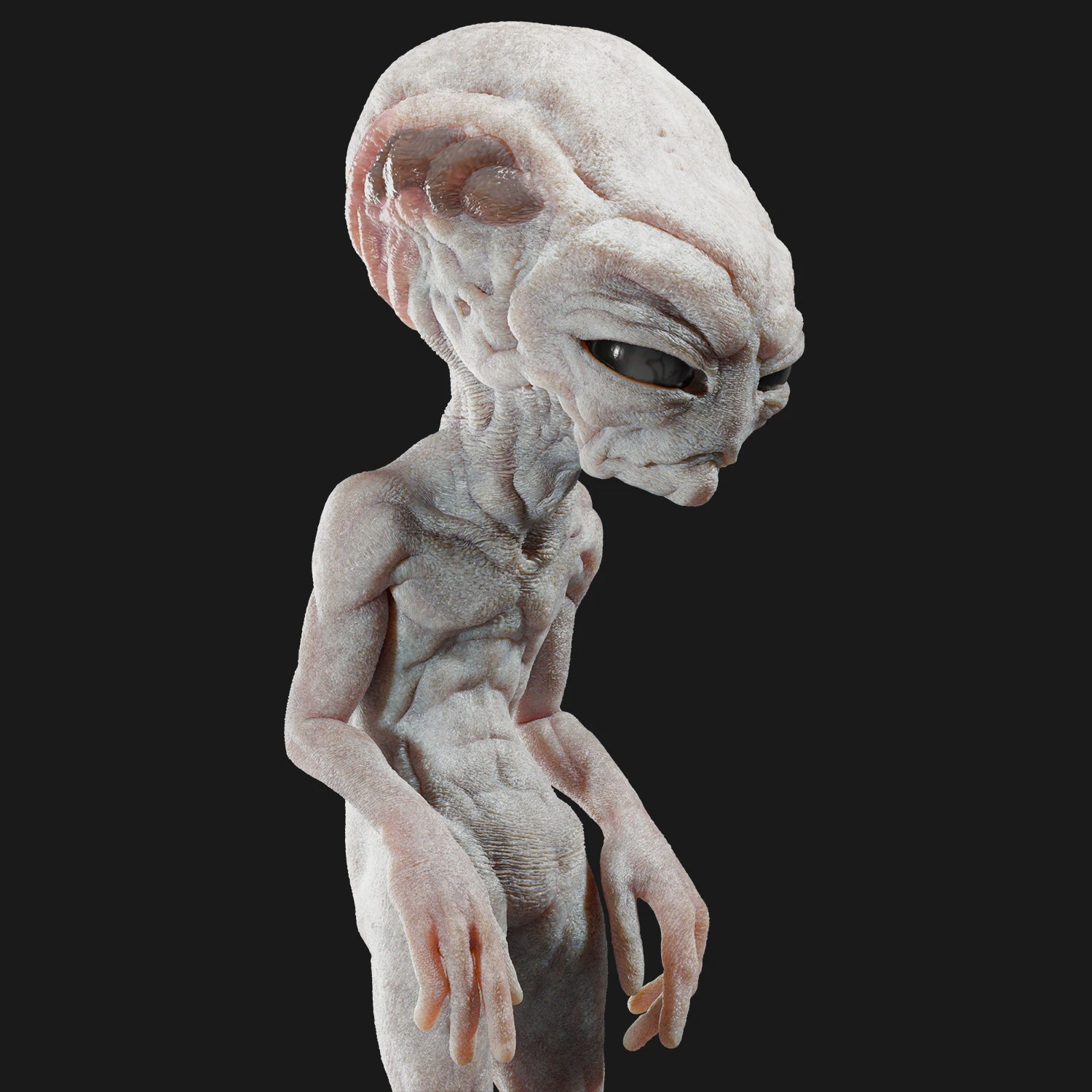 Gray Alien Blender 3D Model .c4d .max .obj .3ds .fbx .stl .blend 