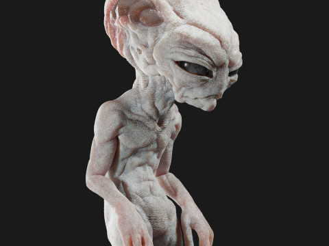 Gray Alien Blender 3D 模型