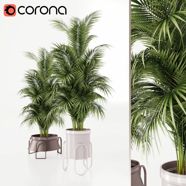 Plants collection Cream 3D 模型 .c4d .max .obj .3ds .fbx .stl .blend 