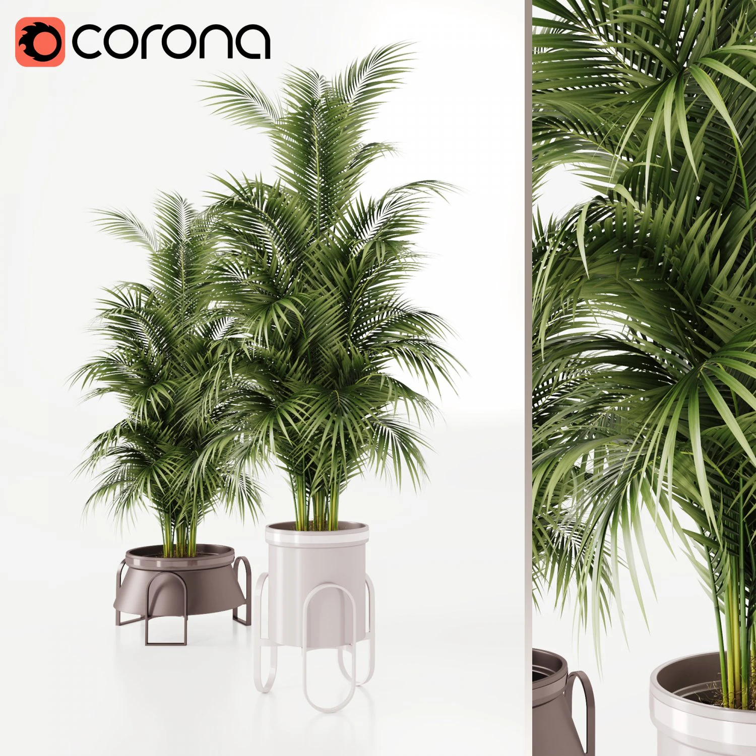 Plants collection Cream 3D Model .c4d .max .obj .3ds .fbx .stl .blend 