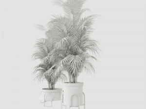 Plants collection Cream 3D Model