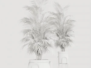 Plants collection Cream 3D Model
