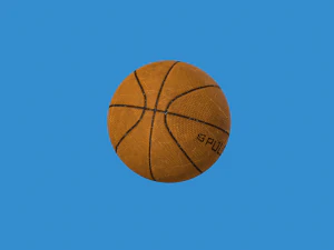 Basketball balls pack 3D Model