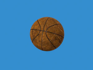 Basketball balls pack 3D Model