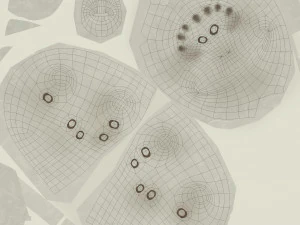 Pokemon Bulbasaur Rock Concept 3D Model