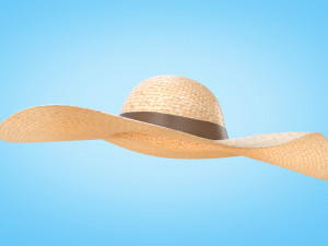 Straw Sun Hat 3D Model