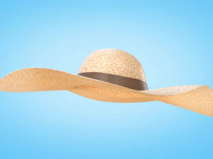 Straw Sun Hat 3D Model