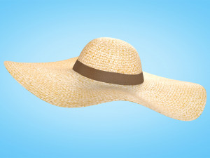 Straw Sun Hat 3D Model
