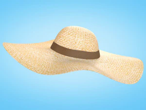 Straw Sun Hat 3D Model