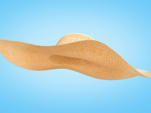 Straw Sun Hat 3D Model