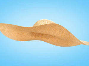 Straw Sun Hat 3D Model