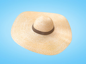 Straw Sun Hat 3D Model