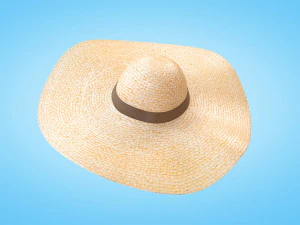Straw Sun Hat 3D Model