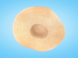 Straw Sun Hat 3D Model