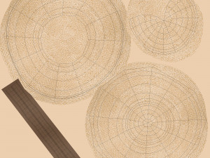 Straw Sun Hat 3D Model