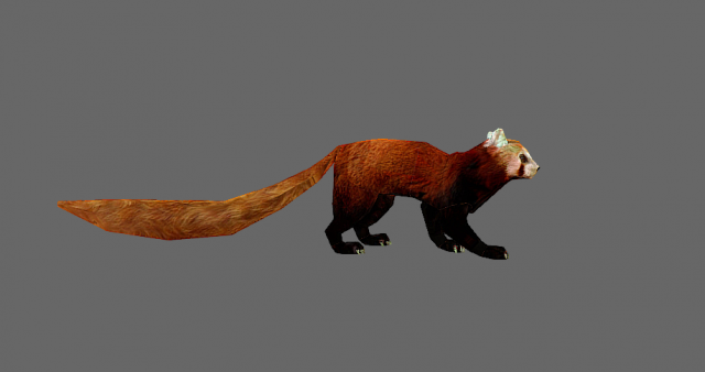 Red Pand panda 3D 模型 .c4d .max .obj .3ds .fbx .stl .blend 