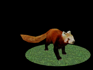 Red Pand panda 3D 模型