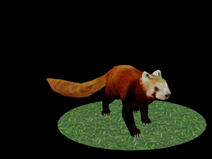 Red Pand panda 3D Model